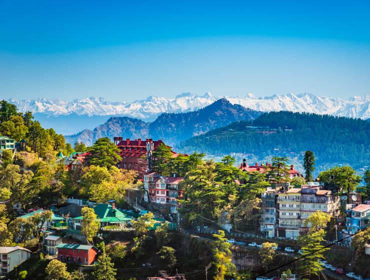 5 Bakeries In Himachal Pradesh That You Must Check Out This Christmas Season! 1 Shutterstock 1439505056