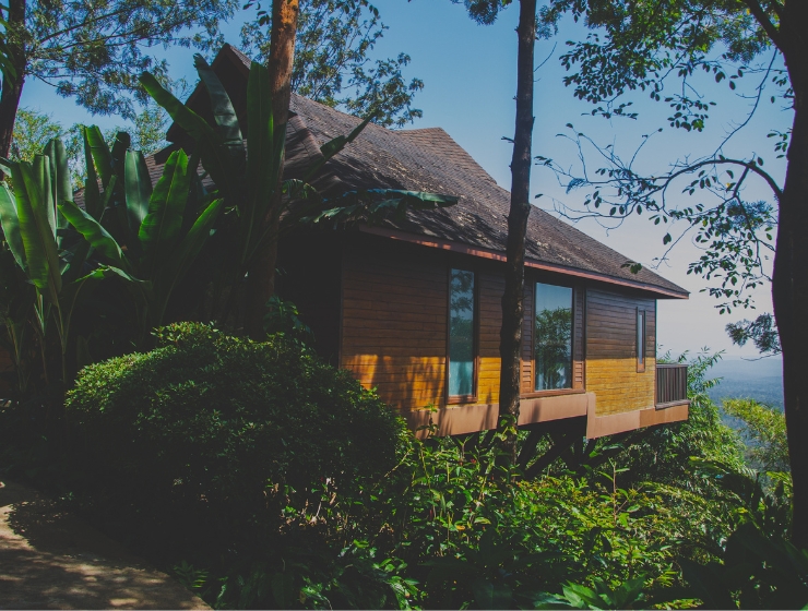 Review: Of Coffee, Cardamom, And Comfort At The Tamara Coorg 2 A dark forest land at the tamara coorg in karnataka