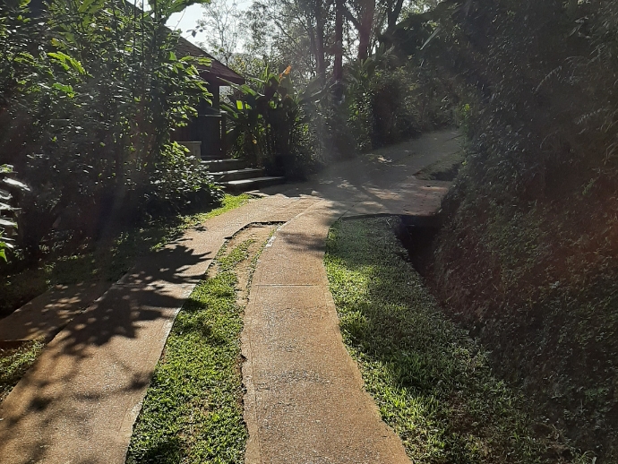 The tamara coorg