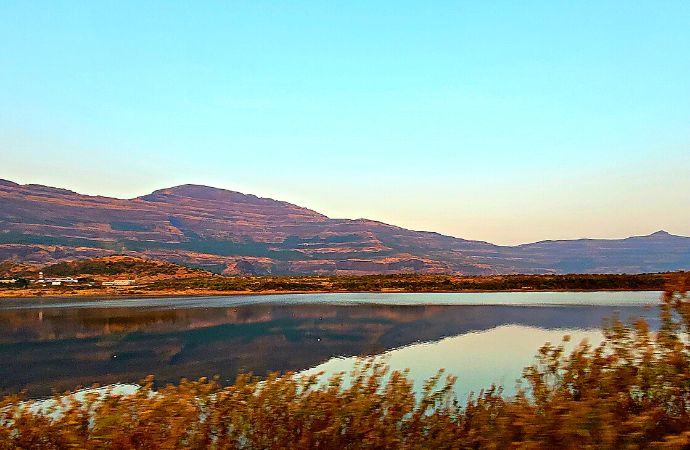 Saj by the lake 15